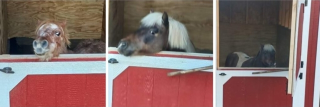 Custom-Design-Horse-Barn-KMP3