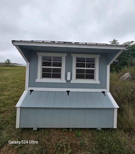 6x8 chicken coop