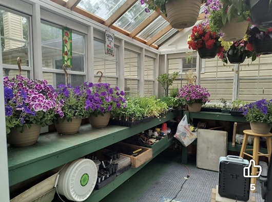 greenhouse example from our customer